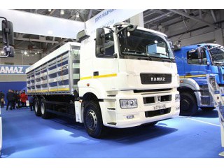 Автомобиль-зерновоз 65207-85002-87